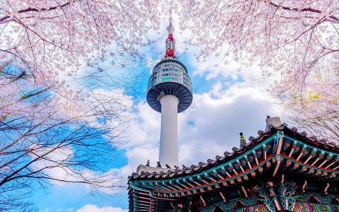 TP.HỒ CHÍ MINH – SEOUL – NAMI